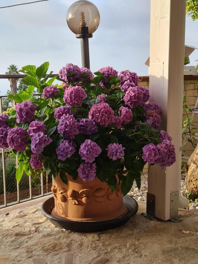 זמברונה B&B La Casa Di Martina חדר תמונה