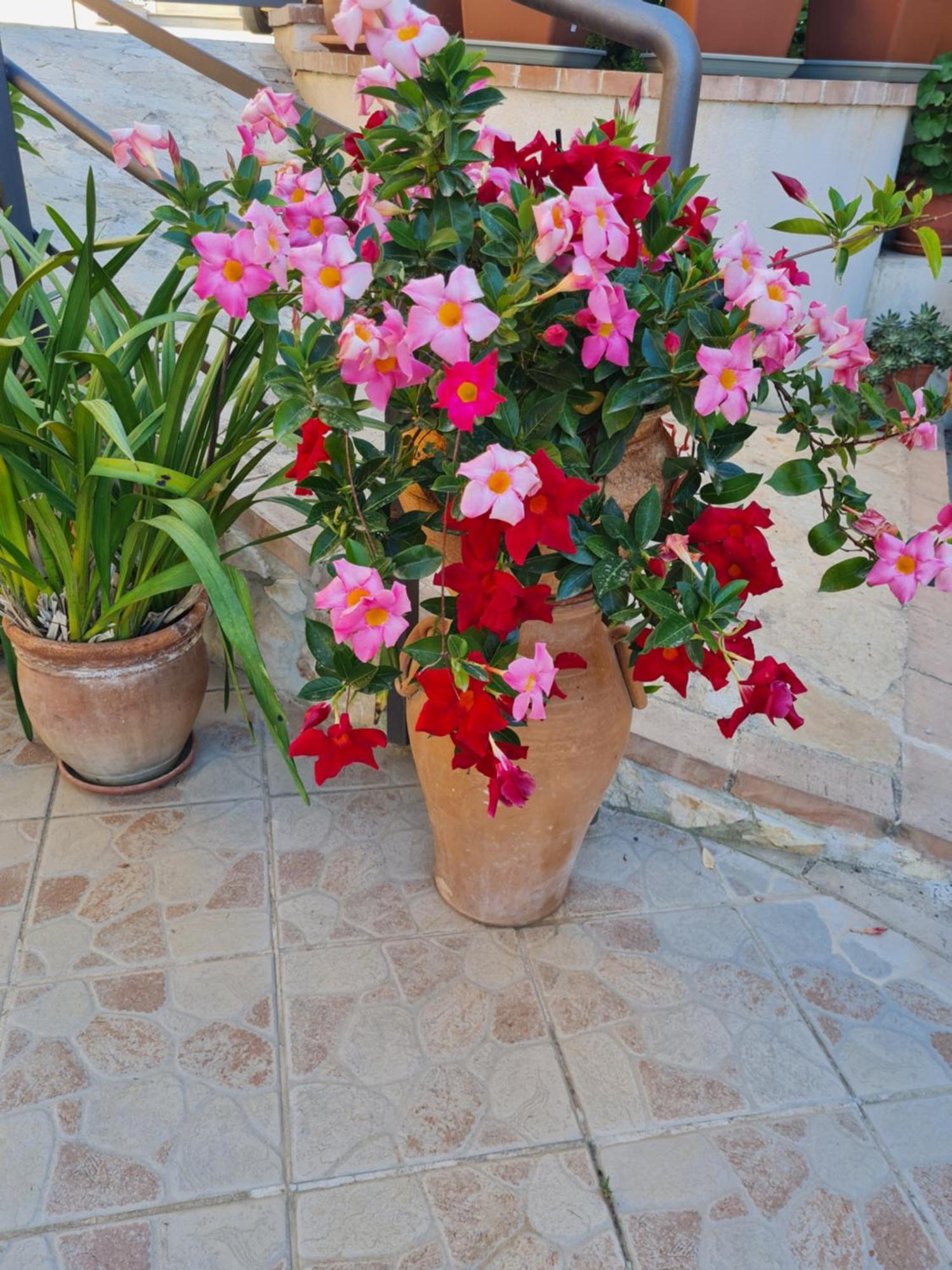 זמברונה B&B La Casa Di Martina מראה חיצוני תמונה